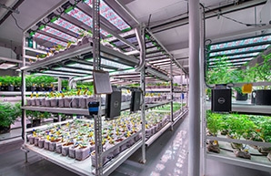 Cresco Labs